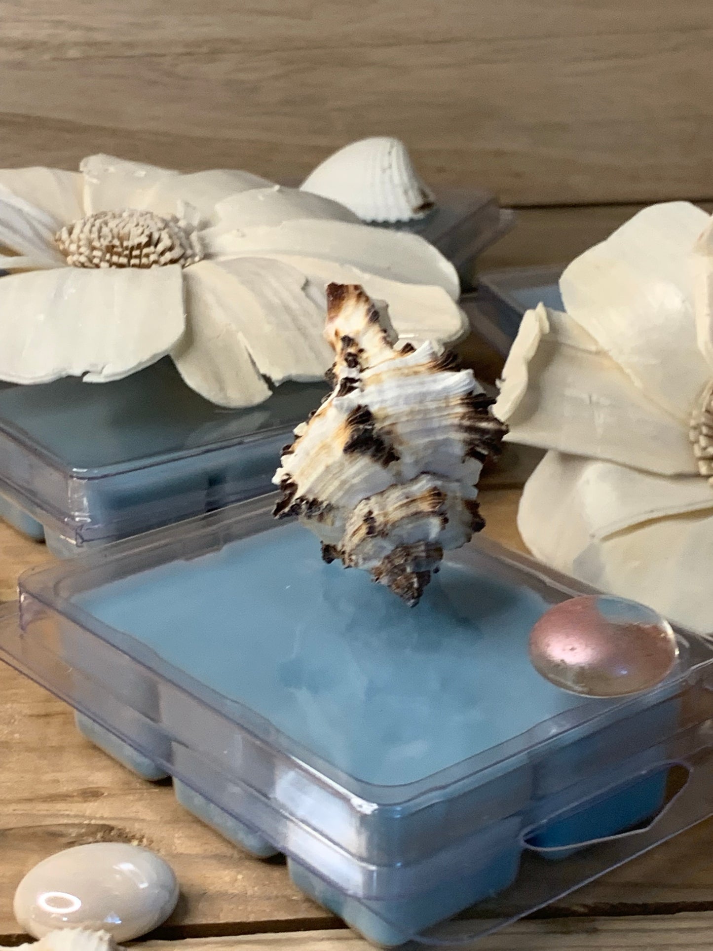 Bora Bora Soy Wax Melt